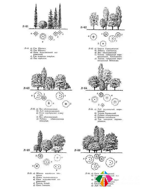 做庭院方案都要用到的植物配置大全(附国外设计解析)