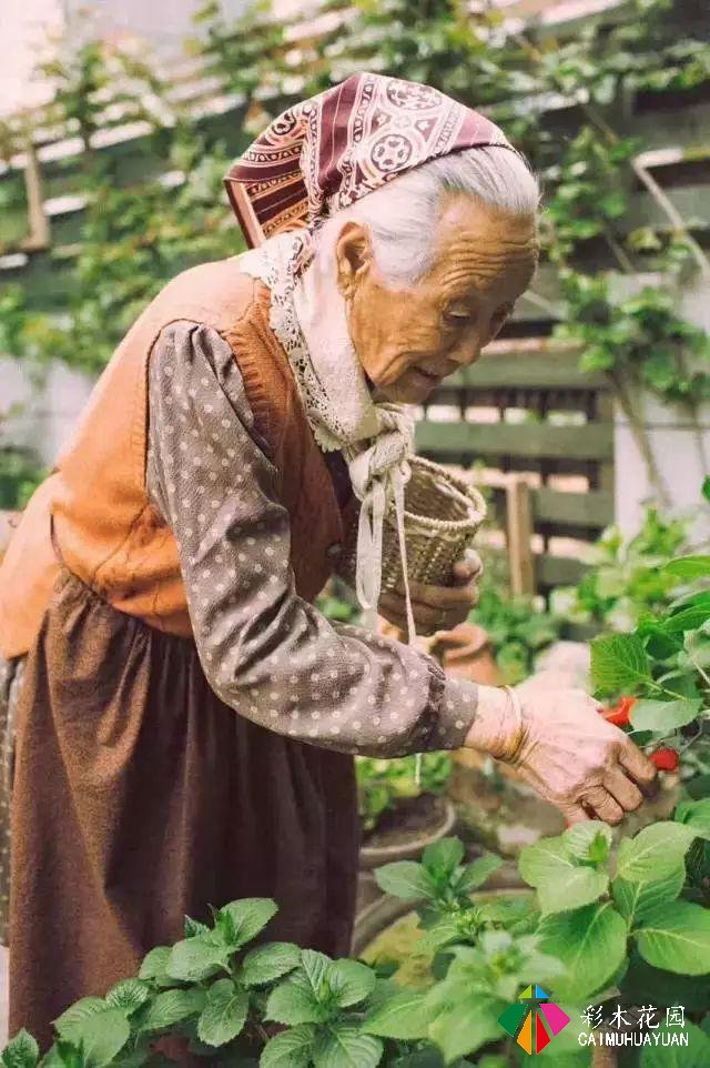 在一个四代同堂的花园里，小小的生活有多么美好