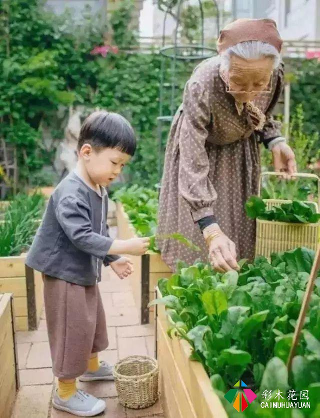 在一个四代同堂的花园里，小小的生活有多么美好