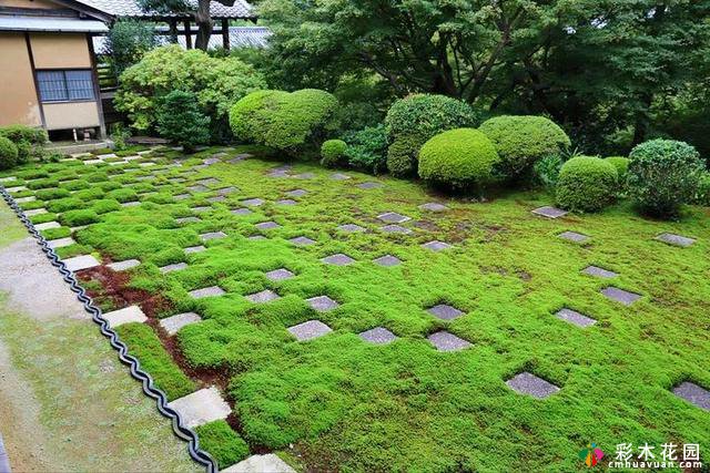 花园小道——这条蜿蜒的小道通向一个小院子，院子里种满了鲜花和树木
