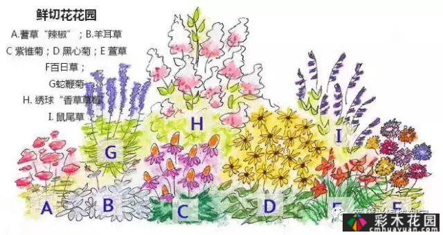 干货收藏|关于花境设计，最全面的介绍
