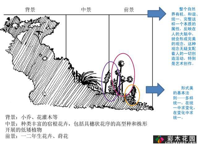 干货收藏|关于花境设计，最全面的介绍
