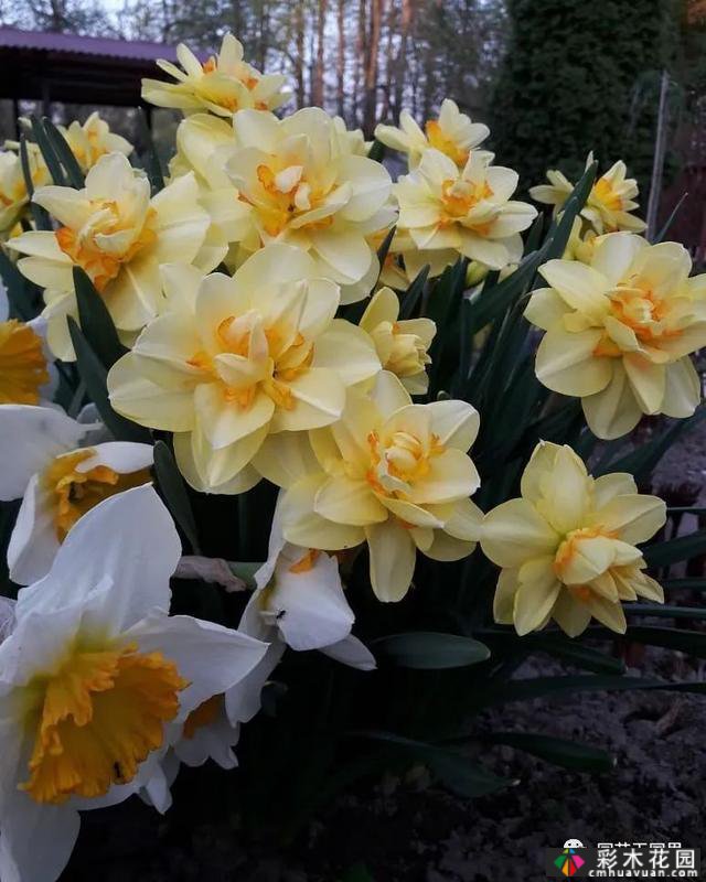 花园季节性兴趣-感受花园的季节性变化是园艺和种植的乐趣之一