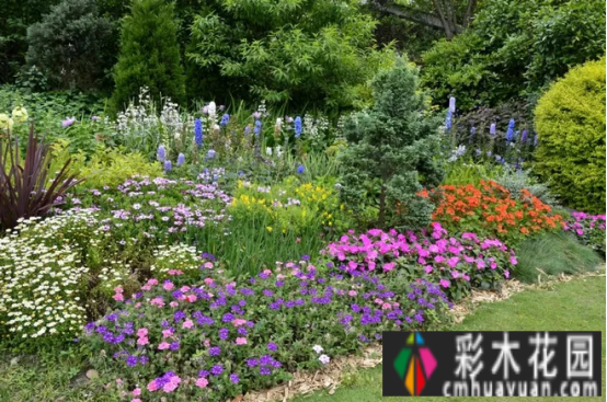 干货！庭院中国花境和花坛常见的植物搭配有哪些？记得阅读收藏以备后用