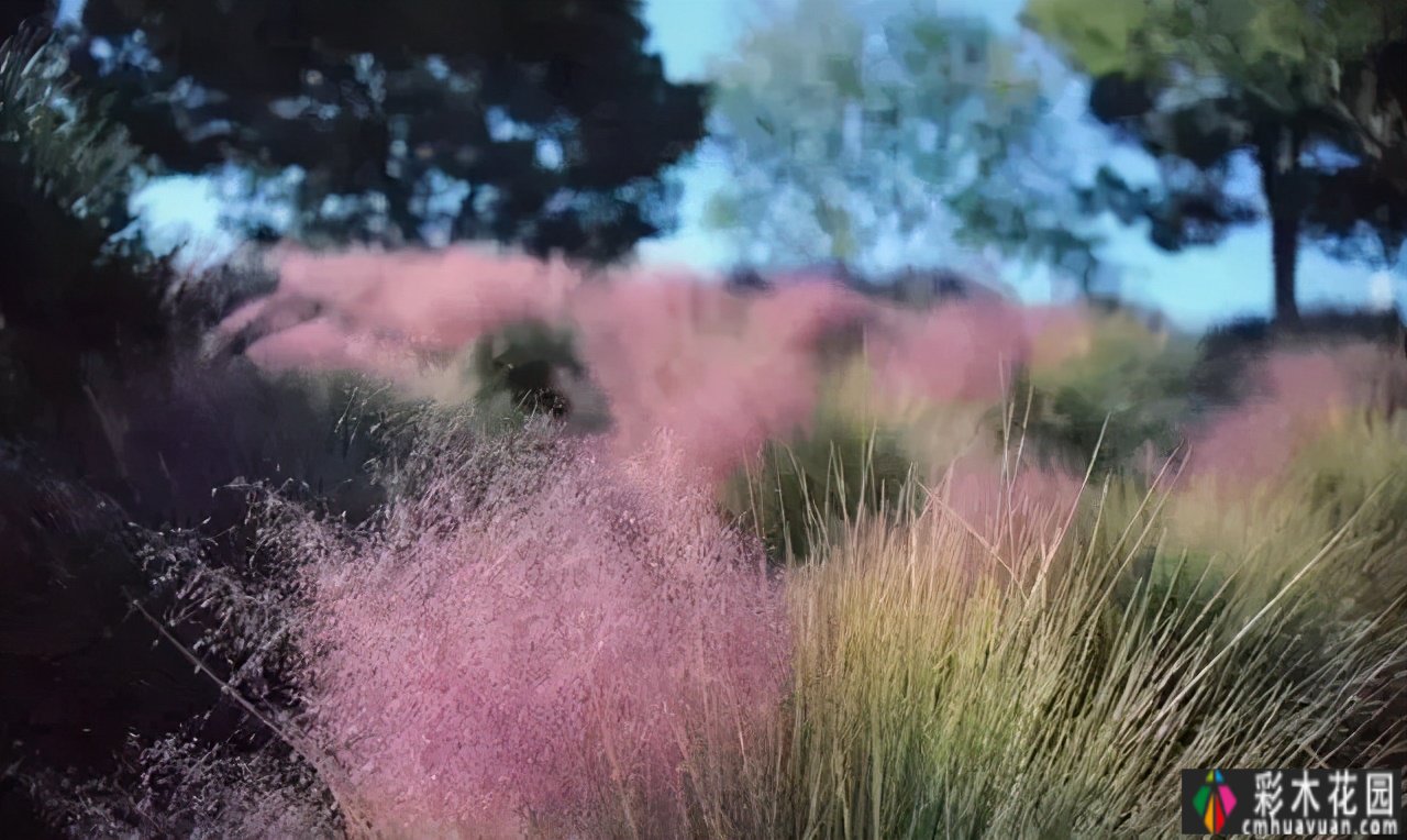 这个季节，让我们去看看看草的野生世界