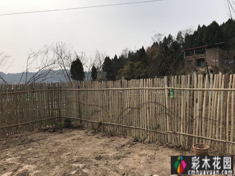 2年内，建一个300㎡的农村小庭院，享受园艺乐趣。网友喊出:向往生活
