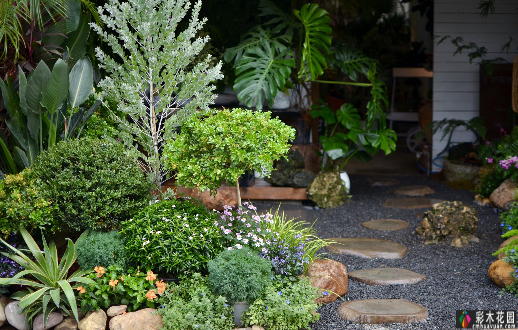 小空间庭院花园,正确的绿植搭配技巧,使小庭院改造成小疗愈系统花园