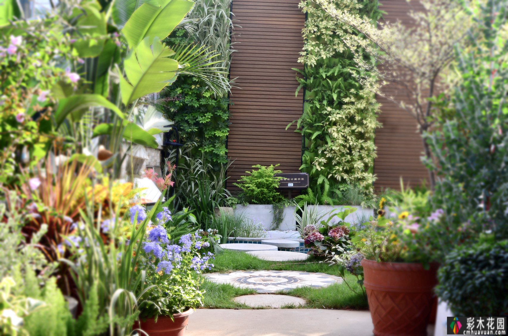 小空间庭院花园,正确的绿植搭配技巧,使小庭院改造成小疗愈系统花园