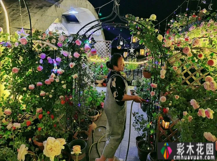 70 ㎡的“Made 花园”屋顶种植了600多个品种的玫瑰，令人惊叹。
