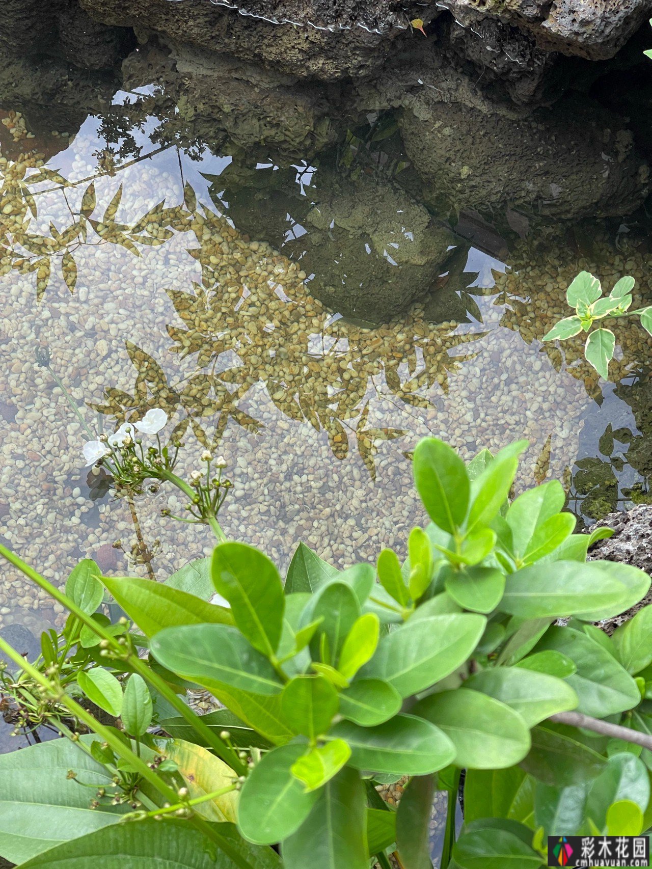 改造170㎡花园花费12万元。这种装修风格完全符合我的审美，太漂亮了。
