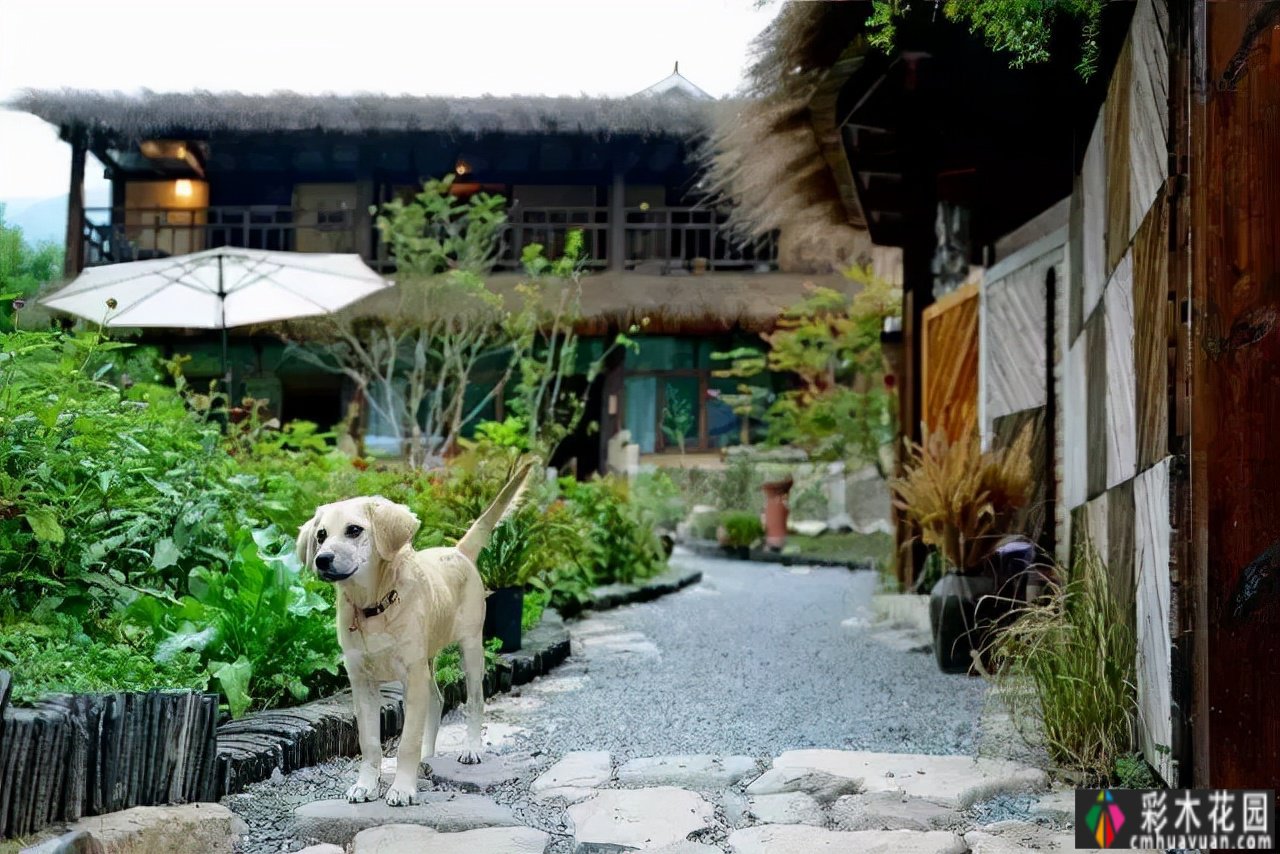 这座城市不能再呆下去了。回到乡下，建一个院子安静地生活。
