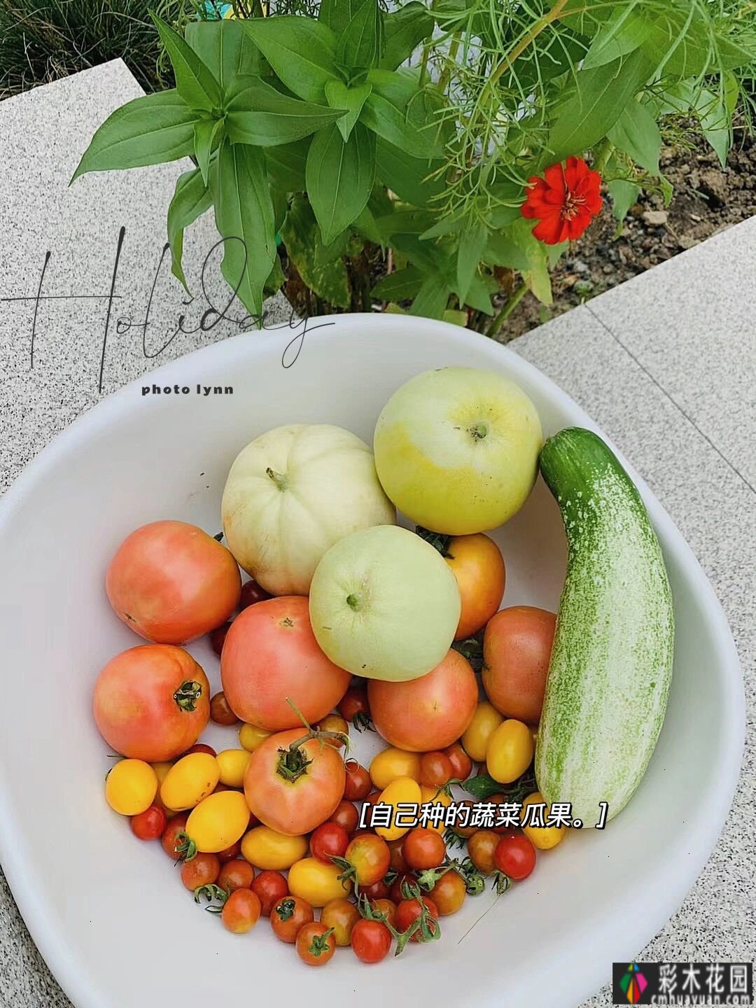 改造66㎡村庄庭院 花园种花种菜只需2万元。太美了，我都不想出去了。